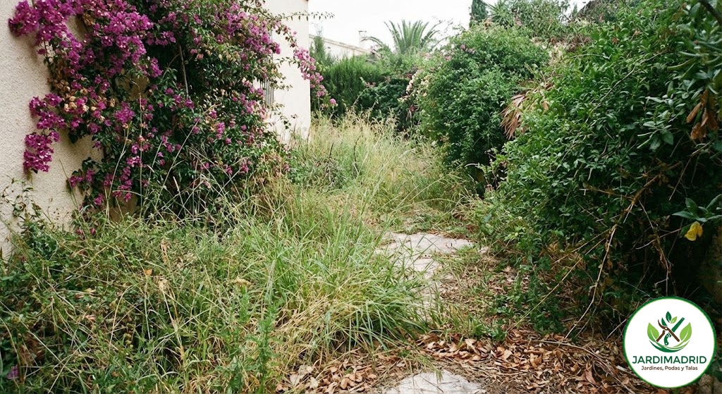 Estado original del terreno antes de la reforma de jardín en Madrid